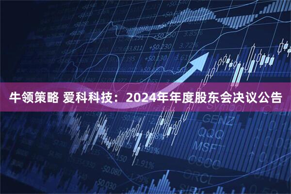 牛领策略 爱科科技：2024年年度股东会决议公告