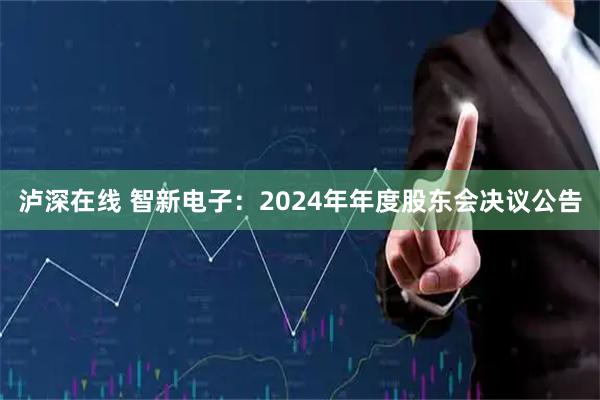 泸深在线 智新电子：2024年年度股东会决议公告