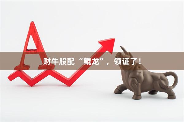 财牛股配 “鲲龙”，领证了！
