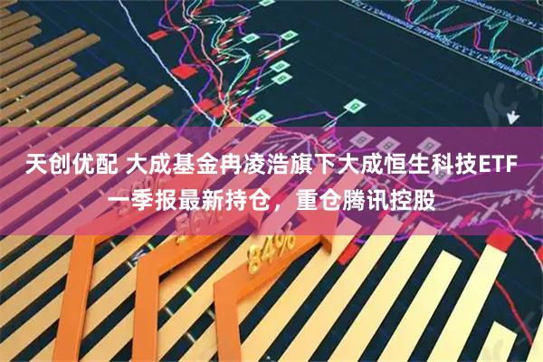 天创优配 大成基金冉凌浩旗下大成恒生科技ETF一季报最新持仓，重仓腾讯控股