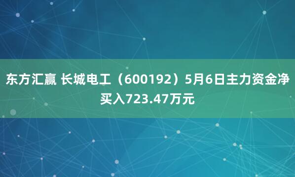 东方汇赢 长城电工（600192）5月6日主力资金净买入723.47万元