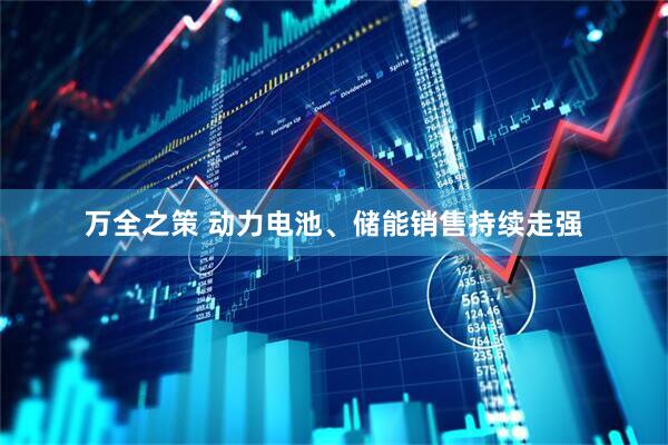 万全之策 动力电池、储能销售持续走强