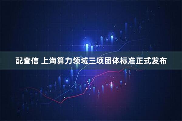 配查信 上海算力领域三项团体标准正式发布